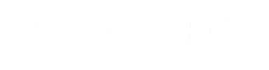 Linkforge — Systems, Technology, Leadership